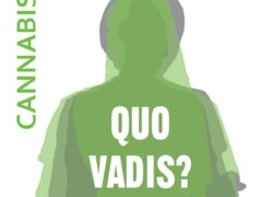 Logo des Programms Cannabis - Quo vadis? mit Schriftzug