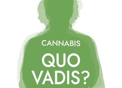 Logo des Programms Cannabis - Quo vadis? mit Schriftzug